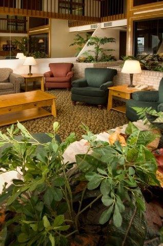 Pear Tree Inn Mcallen Interieur foto